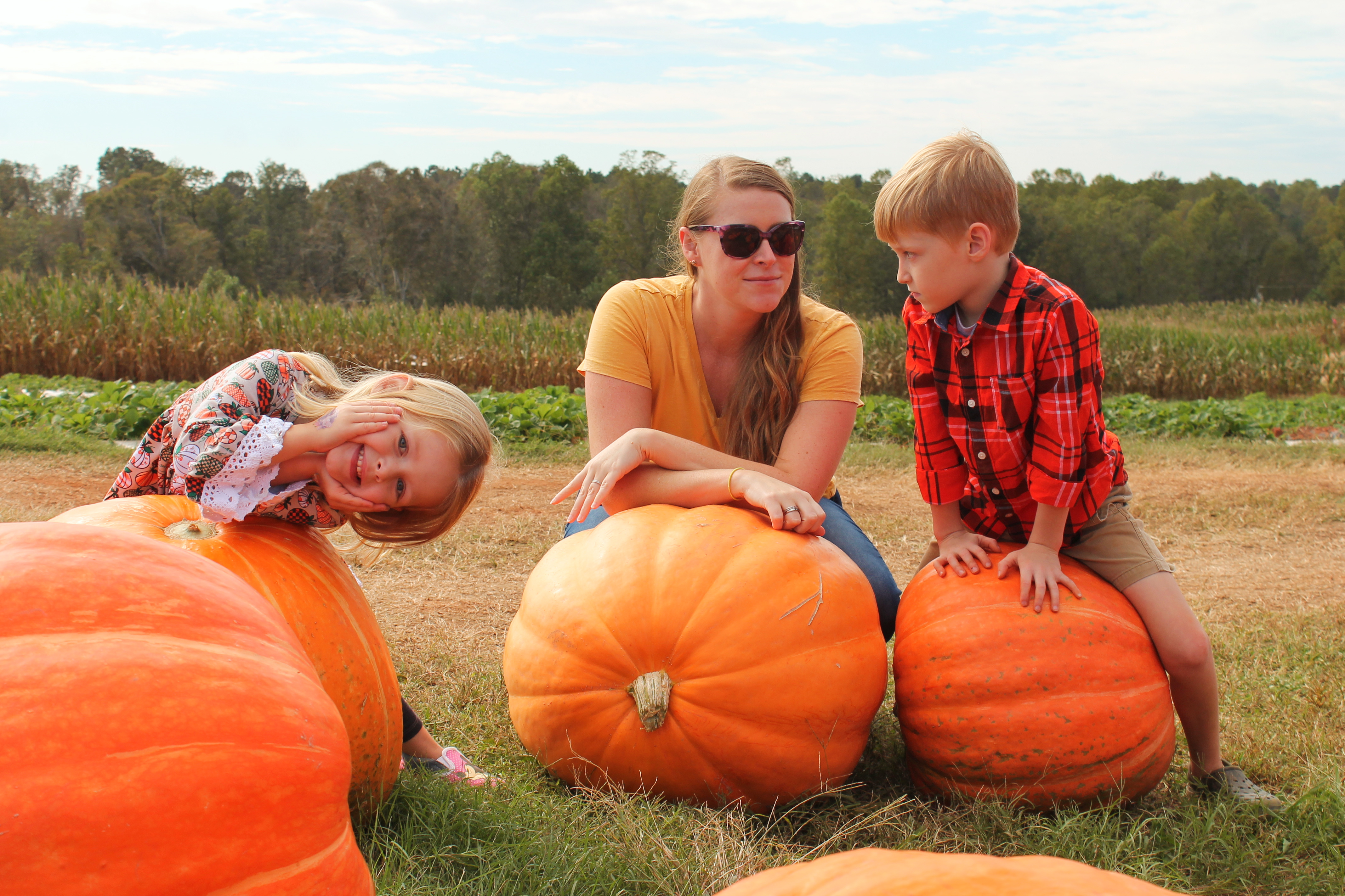 3 Reasons to Visit Jaemor Farms' Pumpkin Patch | sunshineandholly.com | Jaemore Farm | Atlanta fall fun | best pumpkin patches in Georgia | explore Georgia | best Atlanta pumpkin