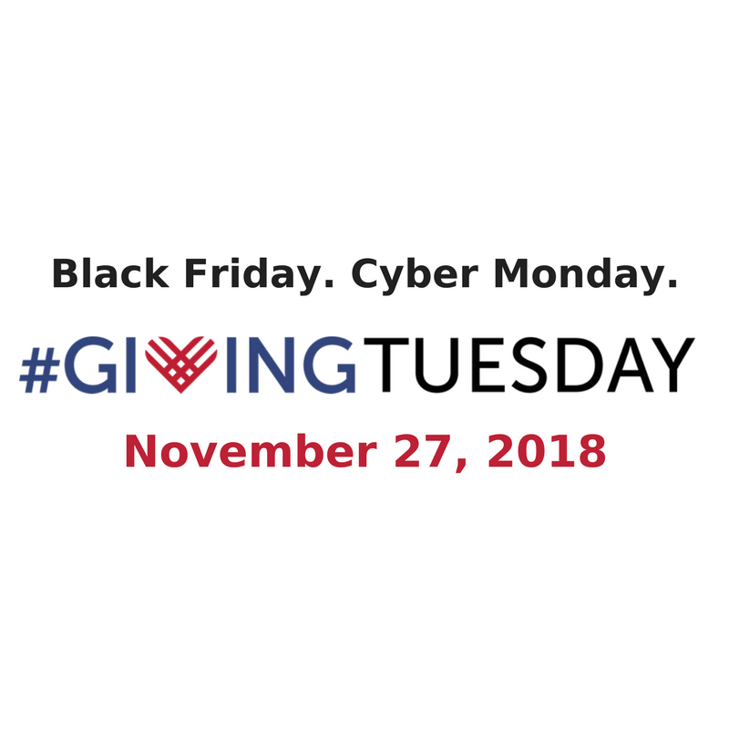 Join the Movement - Giving Tuesday | sunshineandholly.com | #givingtuesday