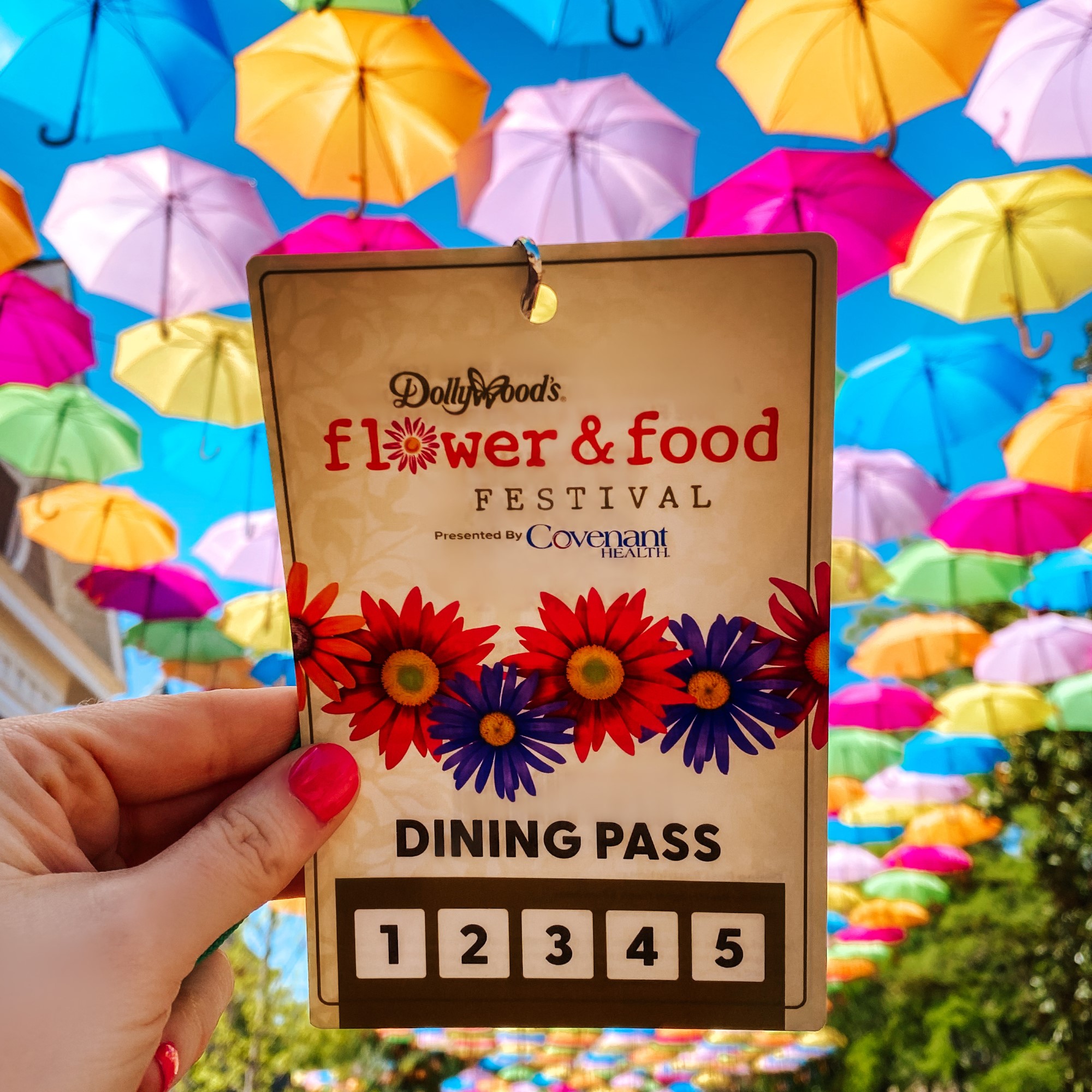 Everything You Need to Know About the Dollywood Flower and Food Festival | sunshineandholly.com | #dollywood | #flowerandfood
